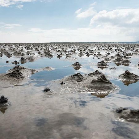Reiterhof An Der Nordsee Witzwort Zewnętrze zdjęcie