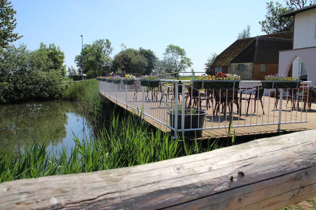 Reiterhof An Der Nordsee Witzwort Zewnętrze zdjęcie