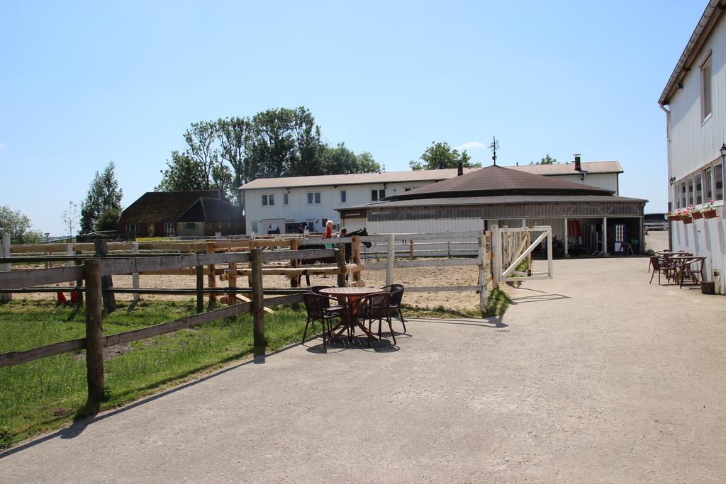Reiterhof An Der Nordsee Witzwort Zewnętrze zdjęcie