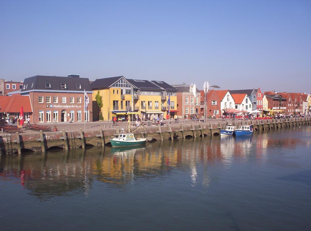 Reiterhof An Der Nordsee Witzwort Zewnętrze zdjęcie