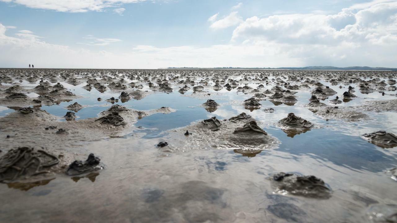 Reiterhof An Der Nordsee Witzwort Zewnętrze zdjęcie